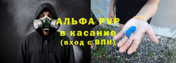 СК Алексин