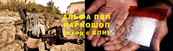 дживик Касимов