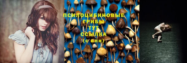 СК Алексин