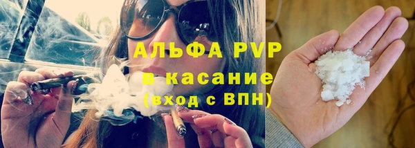СК Алексин