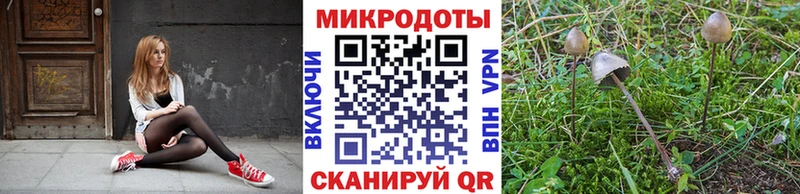 Галлюциногенные грибы Psilocybe  закладки  ОМГ ОМГ зеркало  Алексин 